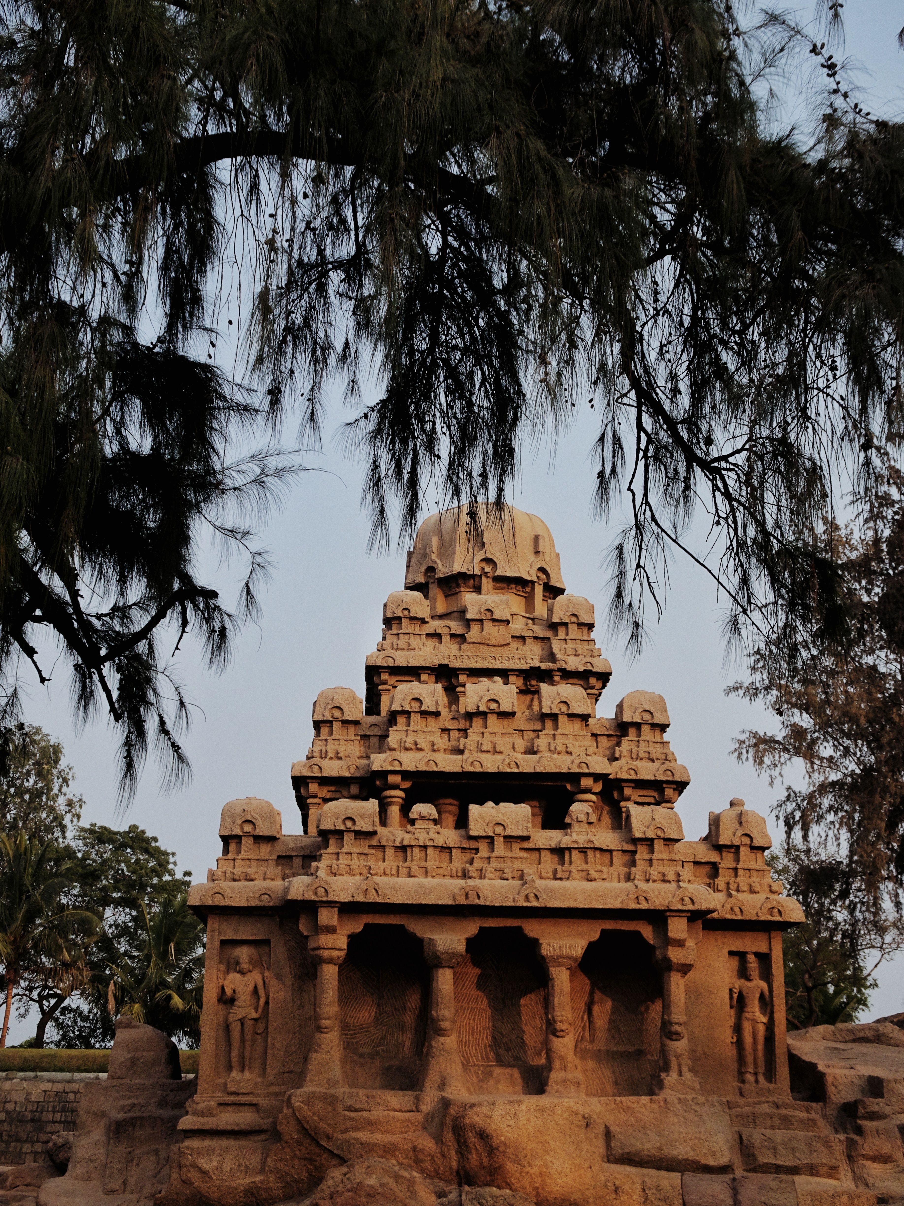 Blog Image
